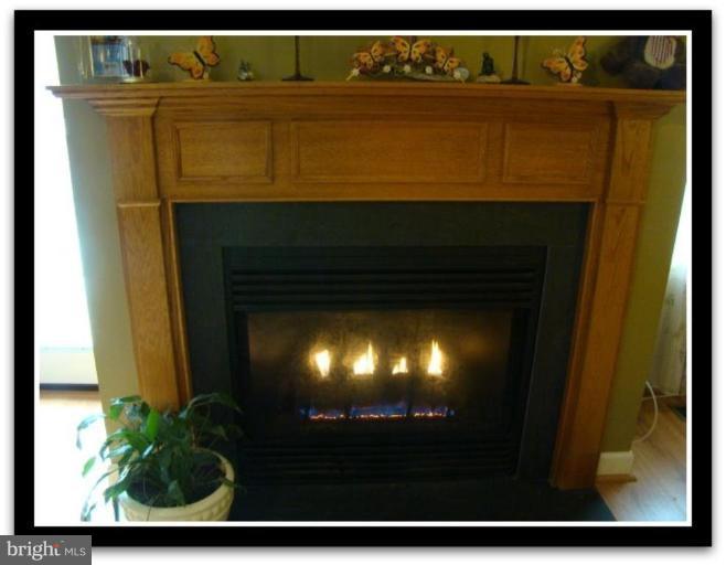 26 Tameron Place Rosedale, MD 21237 - Photo 23 of 23 Fireplace