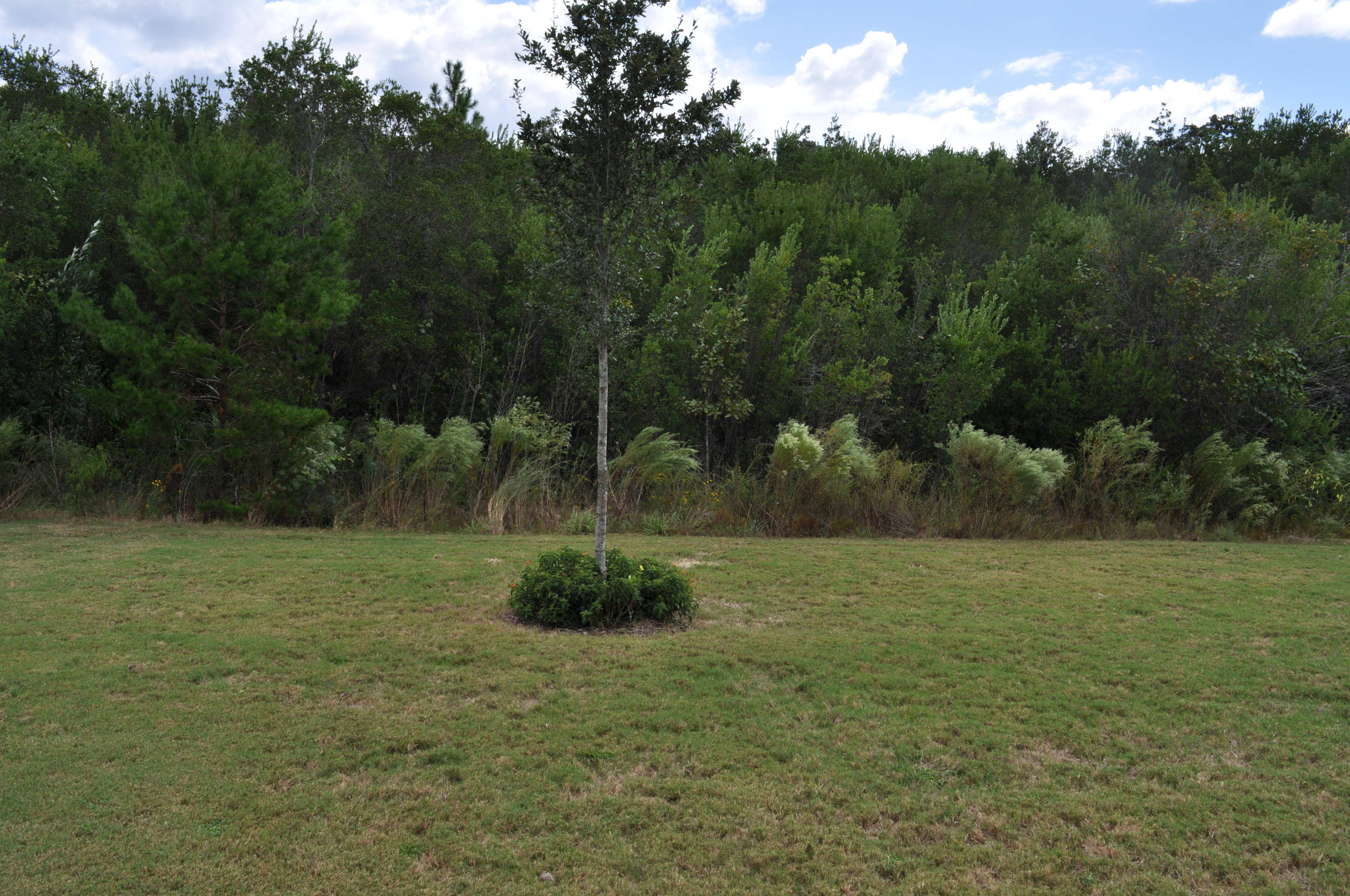563 Fanny Ann Way Freeport, FL 32439 - Photo 14 of 18 a view of a field with a tree