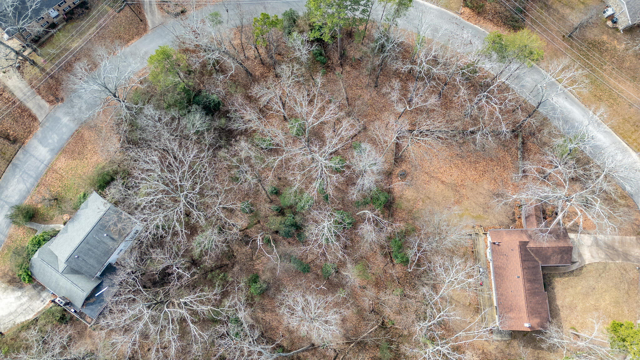 0 Villa Rica Circle Chattanooga, TN 37421 - Photo 3 of 12 DJI_0331-HDR