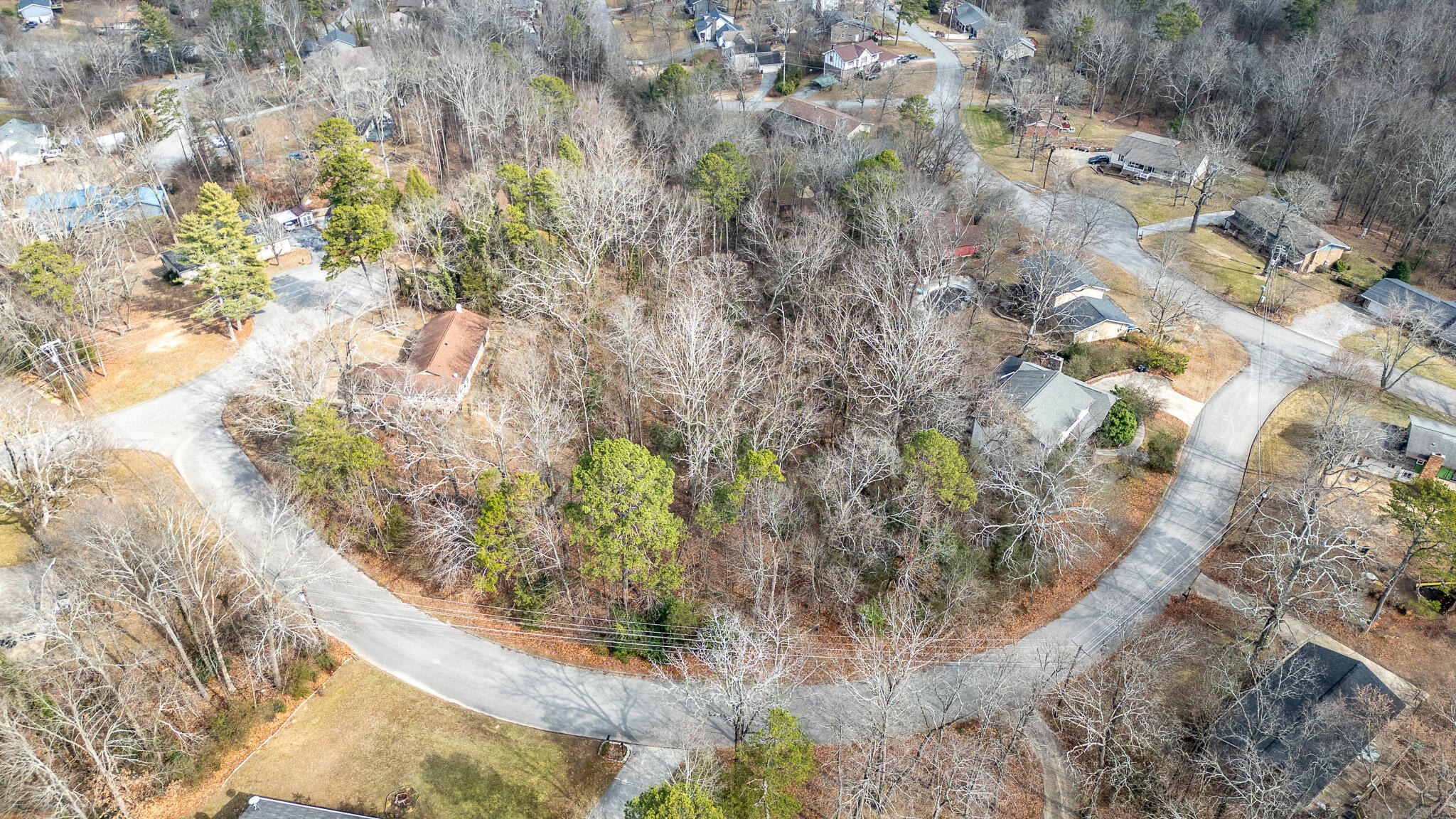 0 Villa Rica Circle Chattanooga, TN 37421 - Photo 4 of 12 DJI_0328-HDR