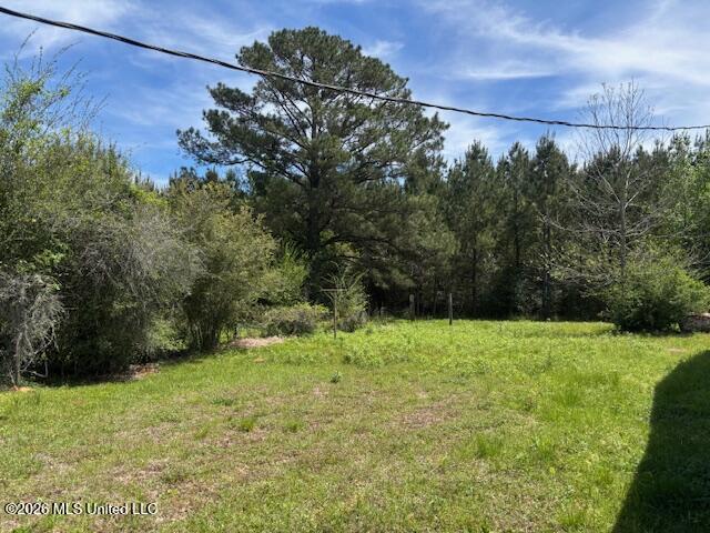 683 Old Holmesville Road Tylertown, MS 39667 - Photo 17 of 33 IMG_8044