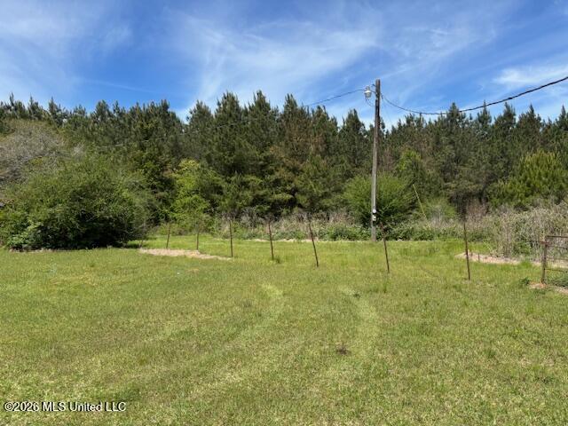 683 Old Holmesville Road Tylertown, MS 39667 - Photo 18 of 33 IMG_8045