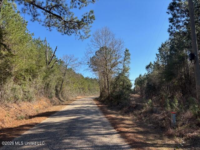 683 Old Holmesville Road Tylertown, MS 39667 - Photo 19 of 33 IMG_7396