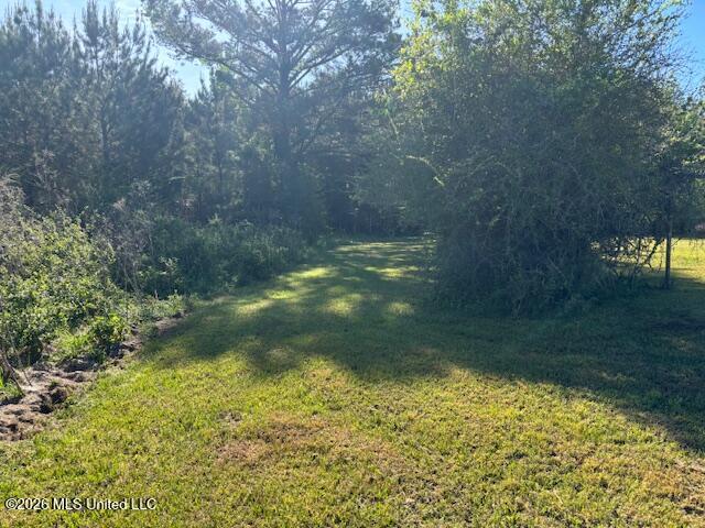 683 Old Holmesville Road Tylertown, MS 39667 - Photo 21 of 33 IMG_8172