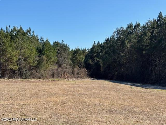 683 Old Holmesville Road Tylertown, MS 39667 - Photo 23 of 33 IMG_7378