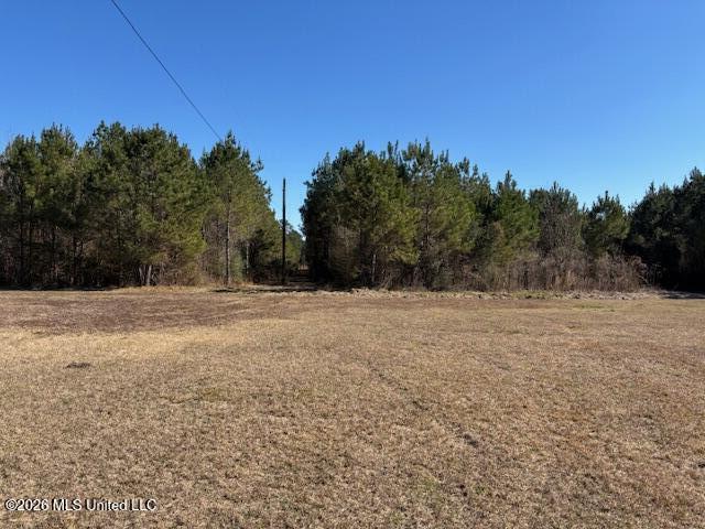 683 Old Holmesville Road Tylertown, MS 39667 - Photo 24 of 33 IMG_7379