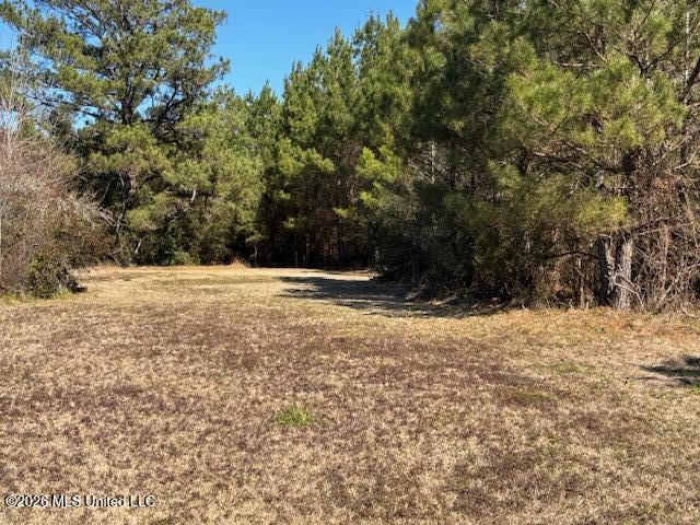683 Old Holmesville Road Tylertown, MS 39667 - Photo 25 of 33 IMG_7383