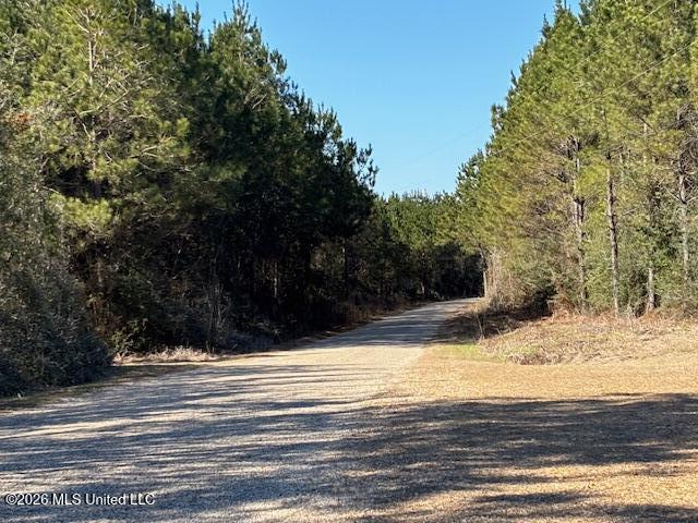 683 Old Holmesville Road Tylertown, MS 39667 - Photo 26 of 33 IMG_7386