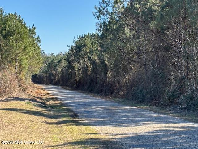 683 Old Holmesville Road Tylertown, MS 39667 - Photo 27 of 33 IMG_7388