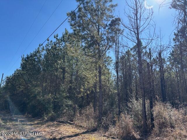 683 Old Holmesville Road Tylertown, MS 39667 - Photo 28 of 33 IMG_7394