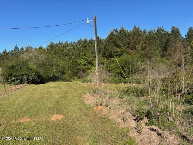 683 Old Holmesville Road Tylertown, MS 39667 - Photo 29 of 33 IMG_8173