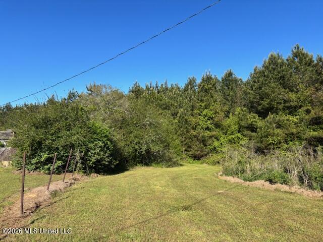 683 Old Holmesville Road Tylertown, MS 39667 - Photo 30 of 33 IMG_8174
