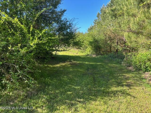 683 Old Holmesville Road Tylertown, MS 39667 - Photo 31 of 33 IMG_8175