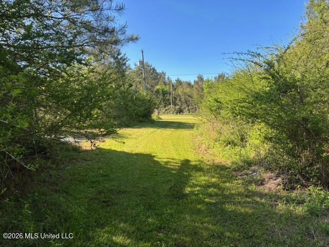 683 Old Holmesville Road Tylertown, MS 39667 - Photo 32 of 33 IMG_8176