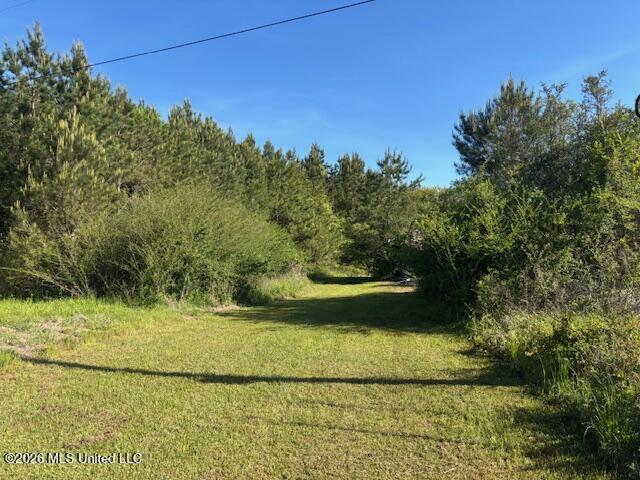 683 Old Holmesville Road Tylertown, MS 39667 - Photo 33 of 33 IMG_8177
