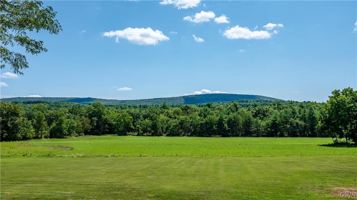 864 Lizard Creek Road Andreas, PA 18211 - Photo 8 of 48 Gallery Image 8