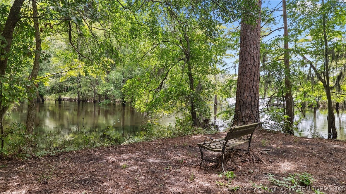 1855 Riverside Boulevard Lumberton, NC 28358 - Photo 49 of 50 a view of a lake with a bench and trees