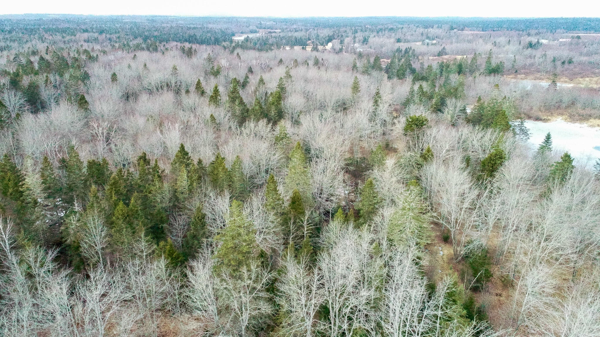 M4-l117 Southwest Crk Road Jonesport, ME 04649 - Photo 4 of 18 DJI_0044
