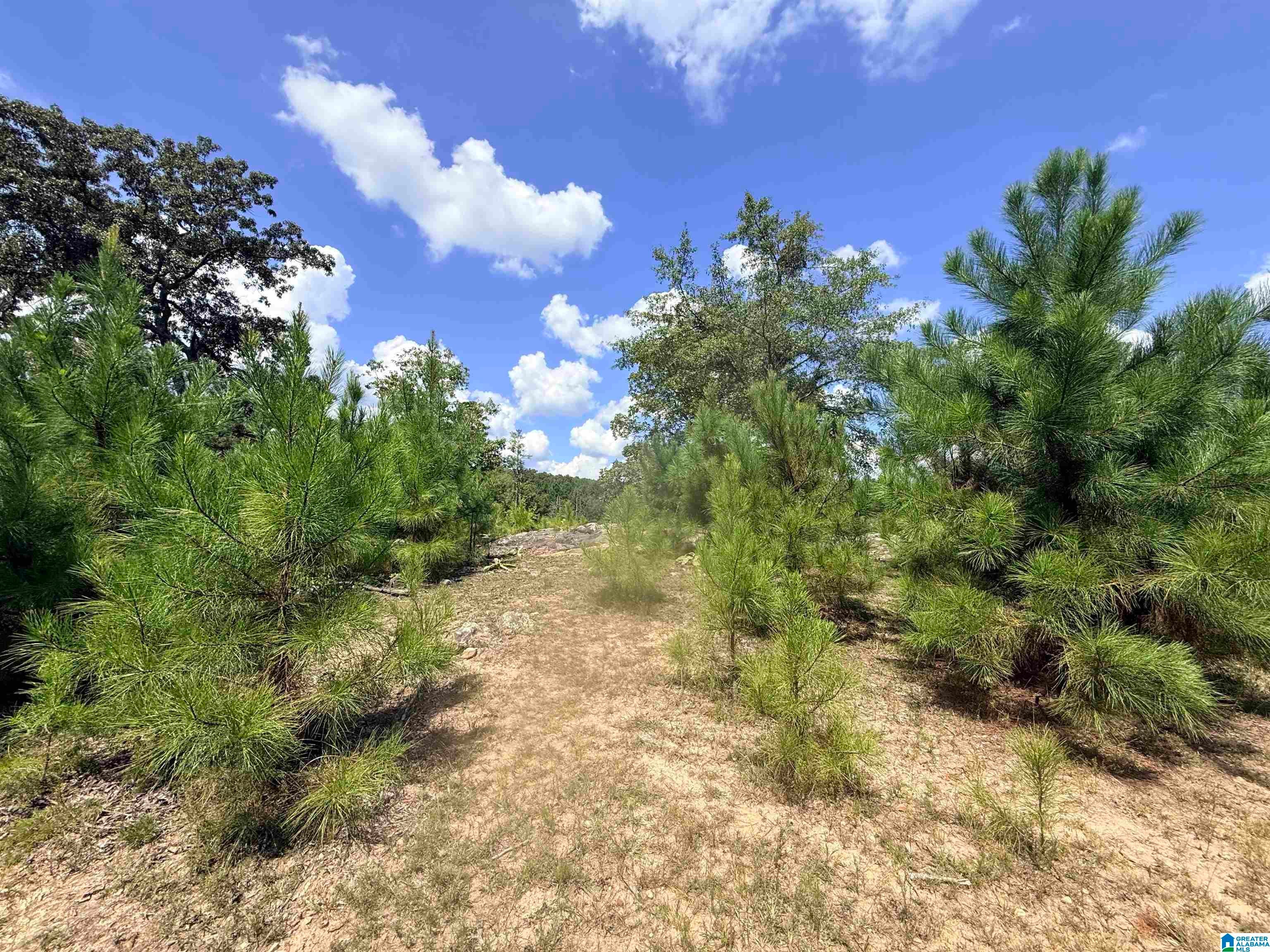 0 Rockyview Road West Blocton, AL 35184 - Photo 16 of 23 Gallery Image 16