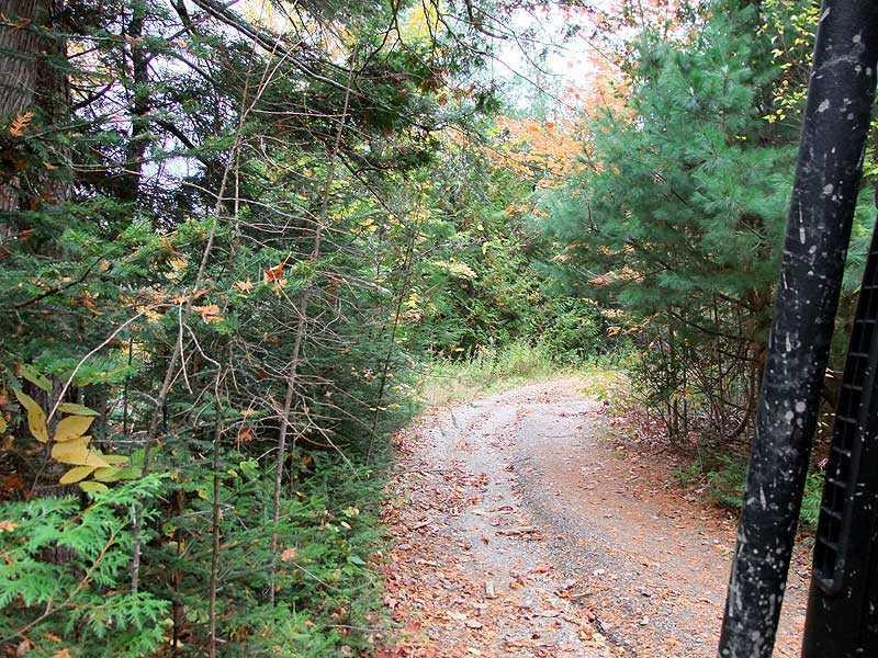 Lot 45 Mill Road Springfield, ME 04487 - Photo 8 of 26 Other.