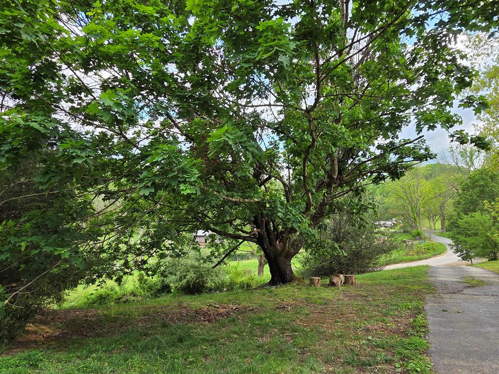 39075 Widener Valley Road Chilhowie, VA 24319 - Photo 7 of 61 Gallery Image 7