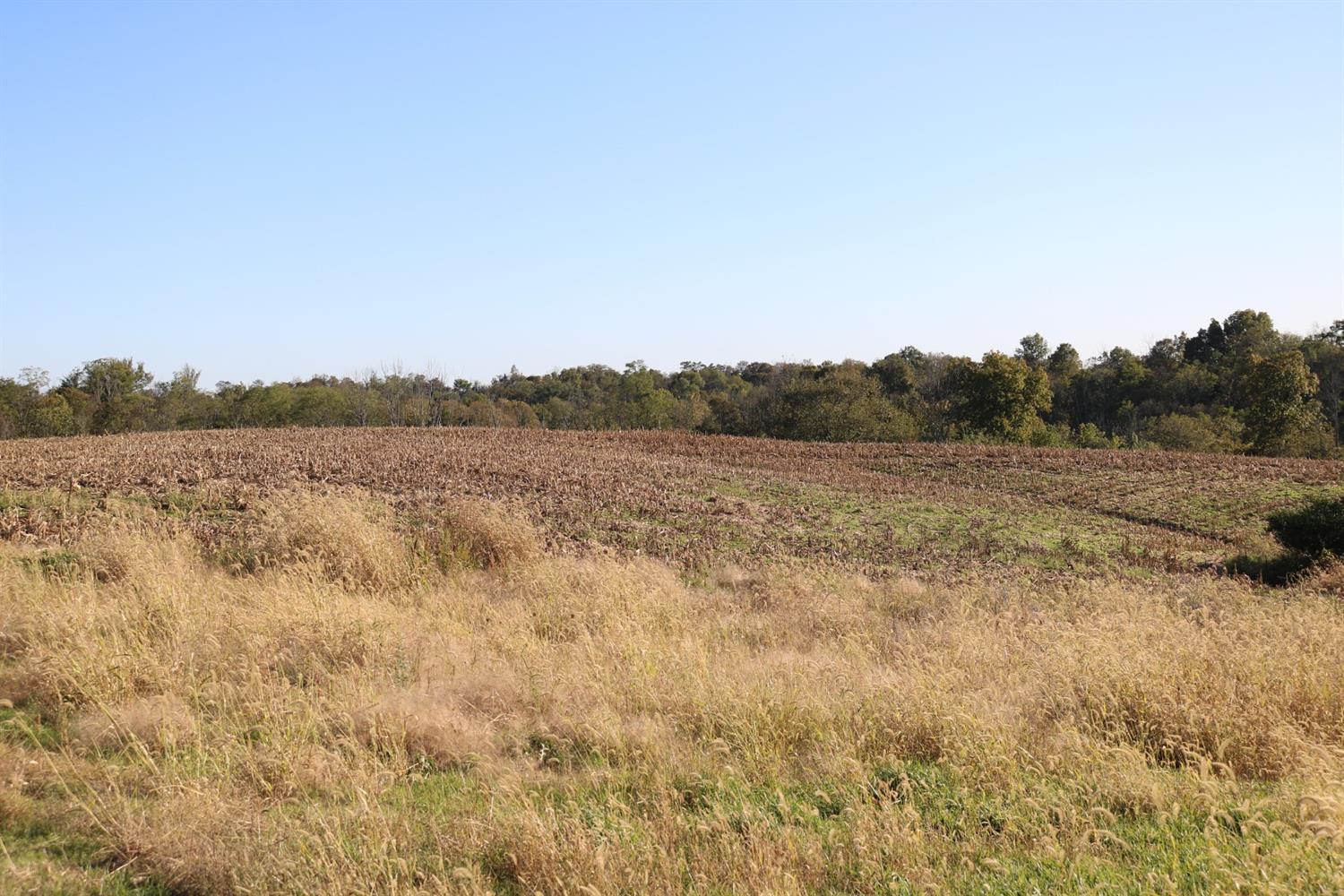 3 Pepper Hl Drive Rising Sun, IN 47040 - Photo 2 of 4