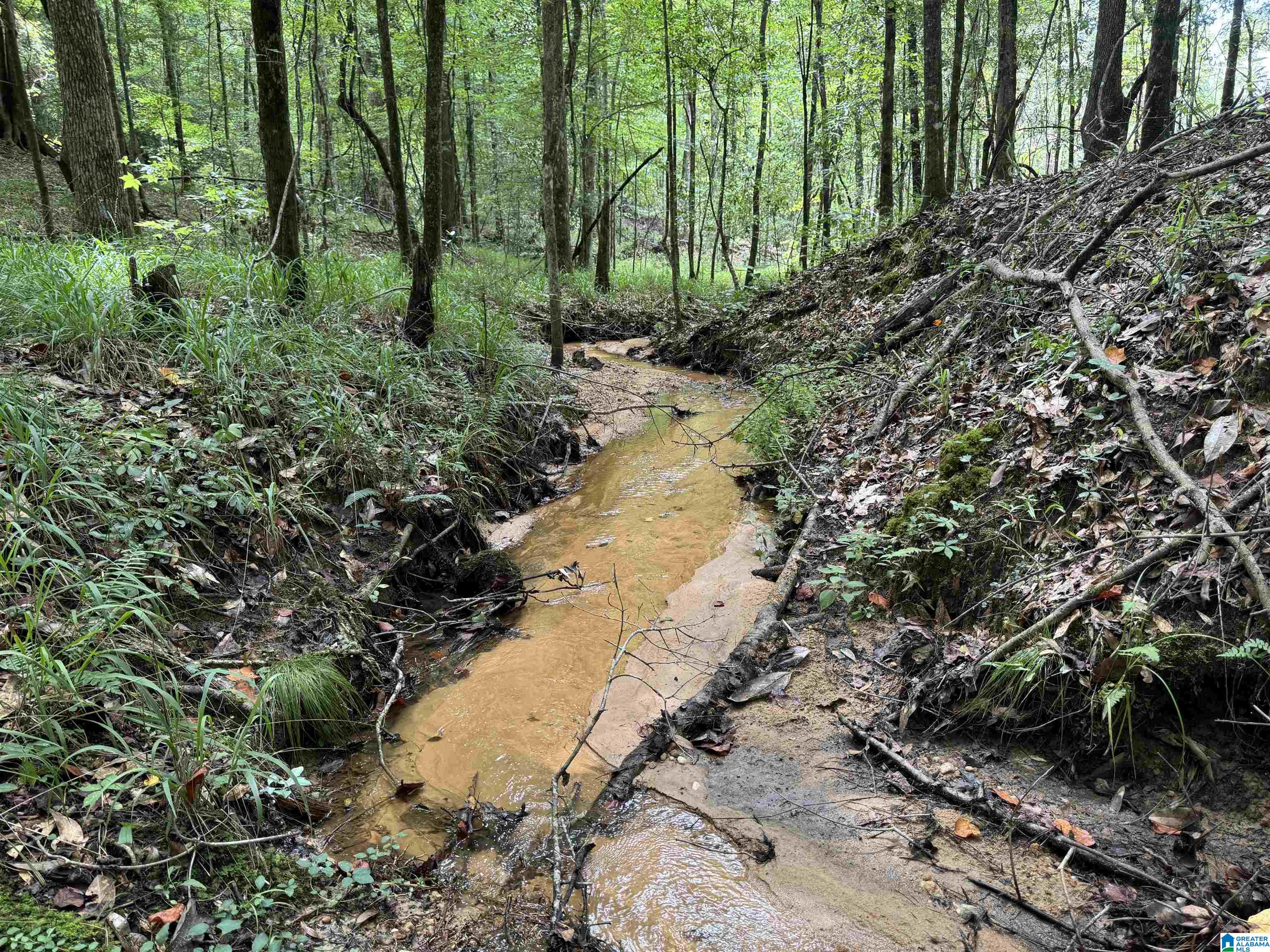 0 County Road 65 Abbeville, AL 36310 - Photo 14 of 24