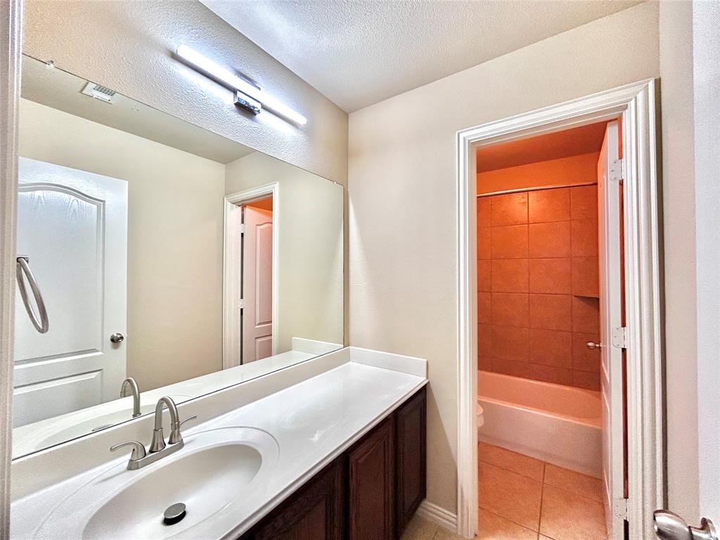 5112 Promised Land Drive McKinney, TX 75071 - Photo 18 of 30 a bathroom with a sink and a mirror
