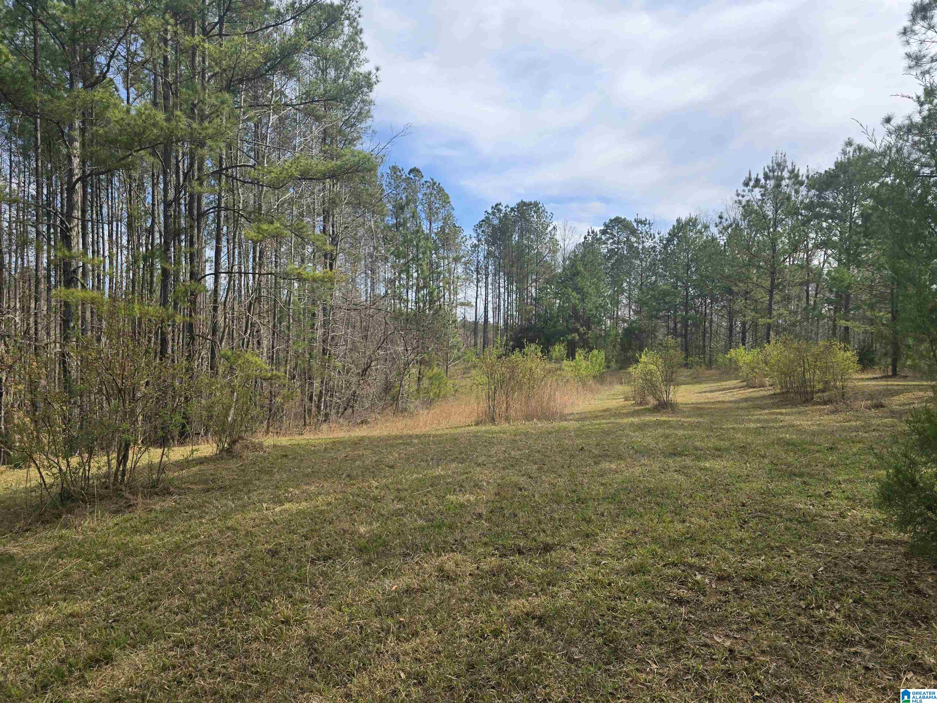 354 Springwell Road Rockford, AL 35136 - Photo 28 of 68