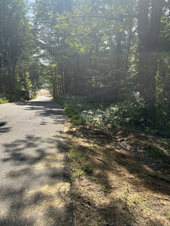 122 Vinton Road Holland, MA 01521 - Photo 2 of 18 a view of a yard with a trees