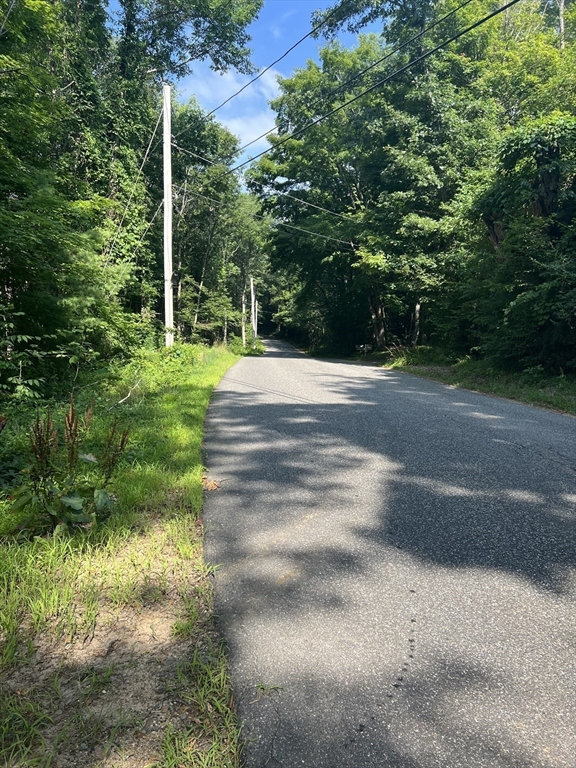 122 Vinton Road Holland, MA 01521 - Photo 3 of 18 a view of a yard with plants and large trees
