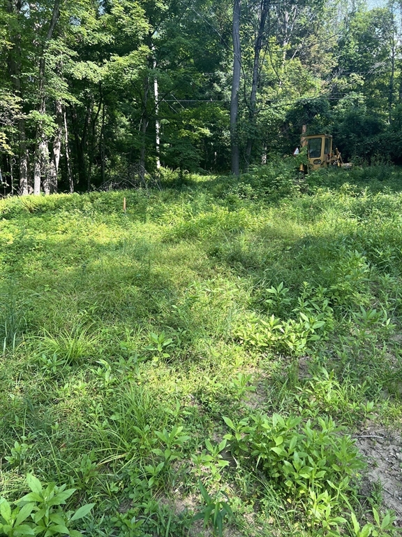 122 Vinton Road Holland, MA 01521 - Photo 5 of 18 a view of backyard with green space
