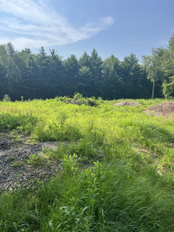 122 Vinton Road Holland, MA 01521 - Photo 7 of 18 a view of a yard