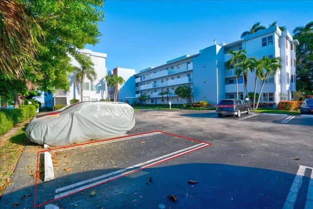 a living room with furniture a floor to ceiling window and a potted plant