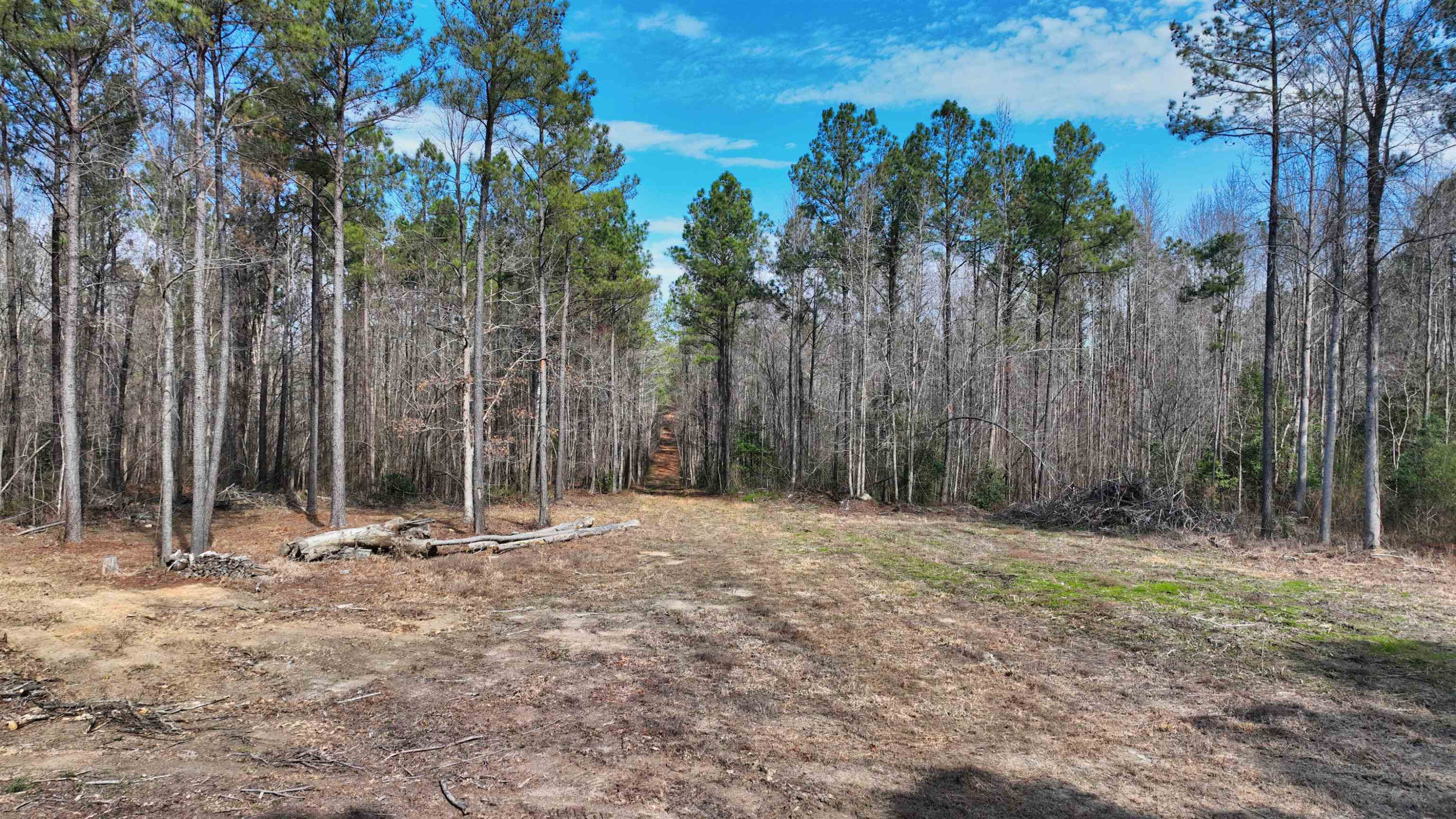 1555 Stallings Mill Road Spring Hope, NC 27882 - Photo 16 of 27 Photo 16