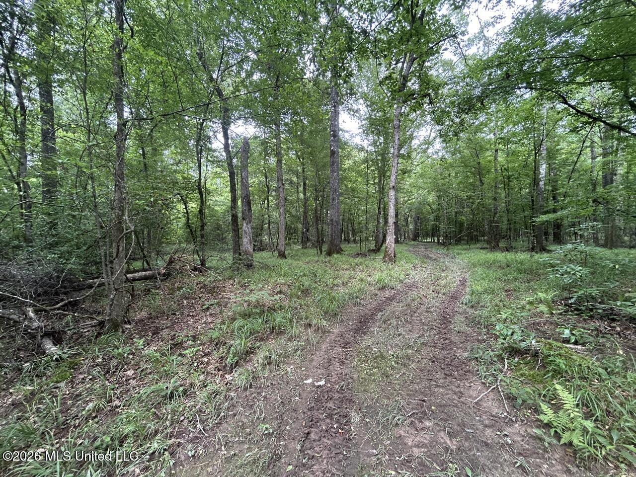 6642 Grange Hall Road Osyka, MS 39657 - Photo 22 of 50 IMG_4377 Large