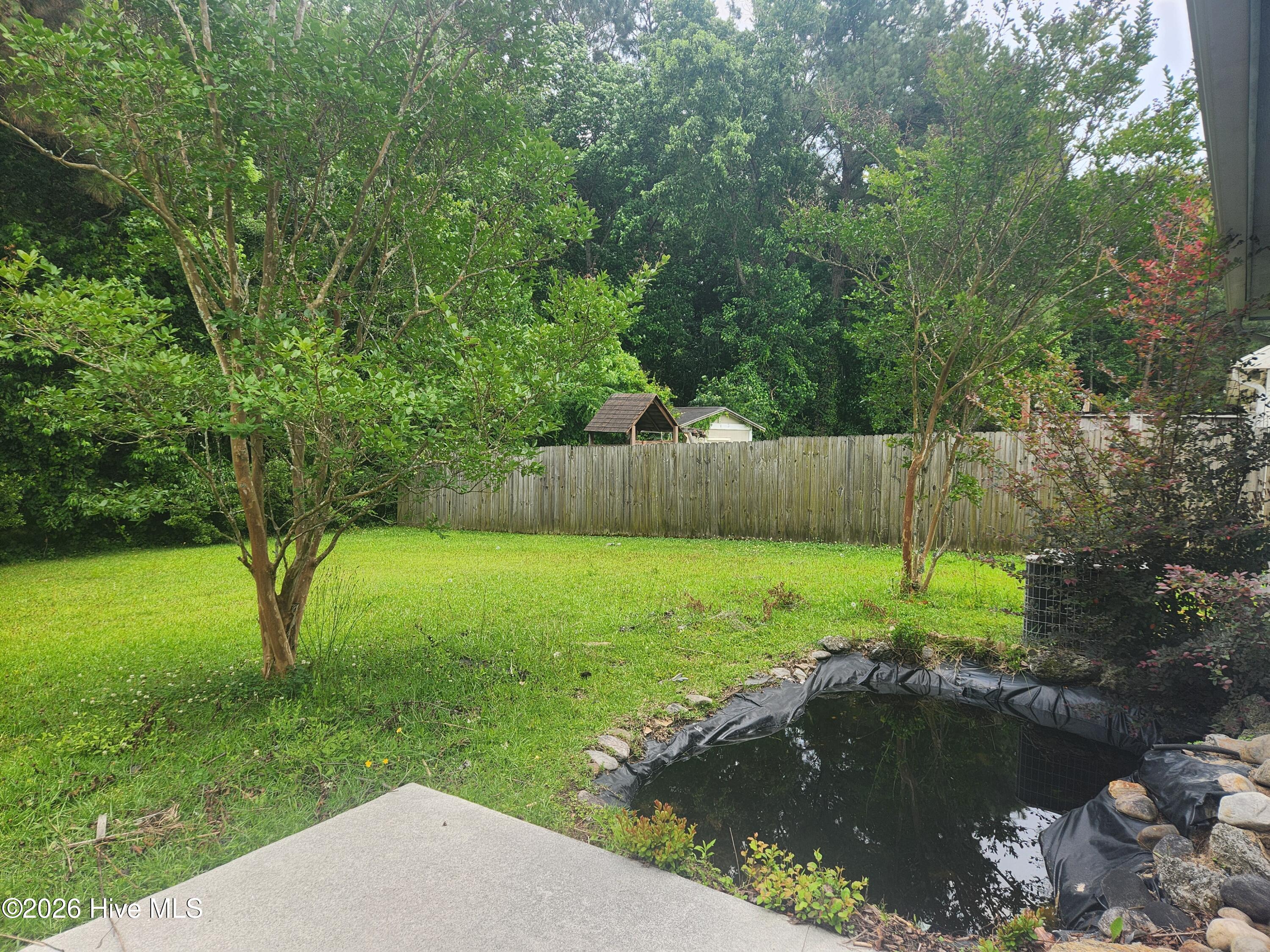 243 Parnell Road Hubert, NC 28539 - Photo 26 of 26 Back Yard