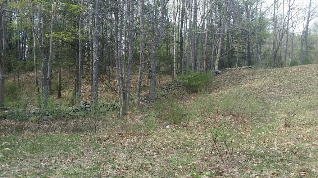 0 Riverton Road Colebrook, CT 06021 - Photo 1 of 1