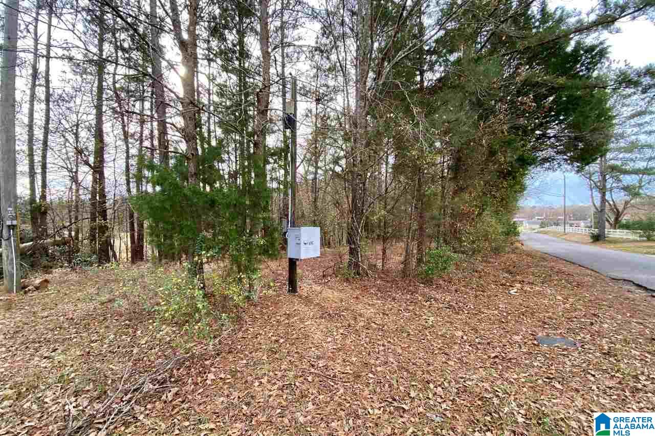 885 County Line Road West, Unit 11 ACRES Eastaboga, AL 36260 - Photo 15 of 17