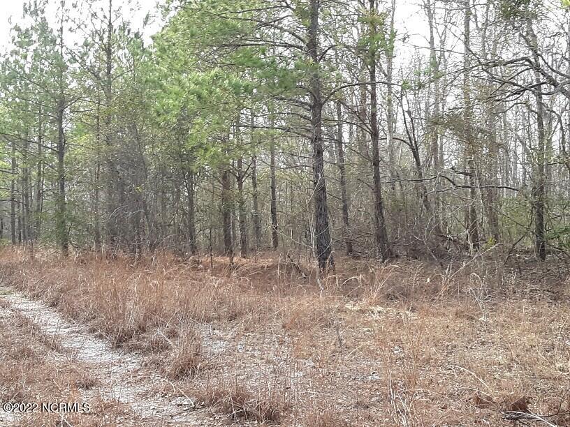 D08-66 John Pollock Road Grantsboro, NC 28529 - Photo 6 of 9 20200213_144018-816x612