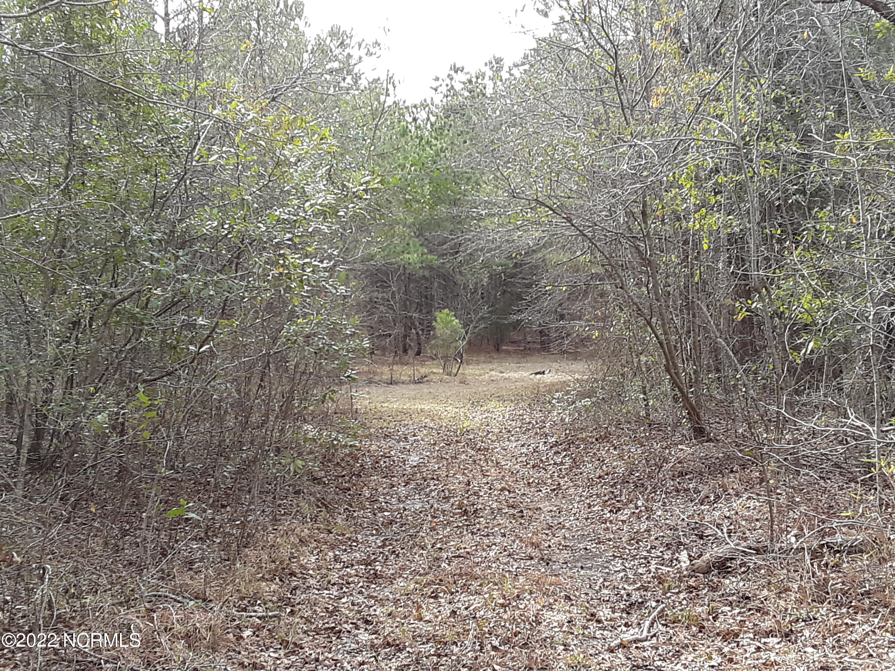 D08-66 John Pollock Road Grantsboro, NC 28529 - Photo 7 of 9 20200213_144245