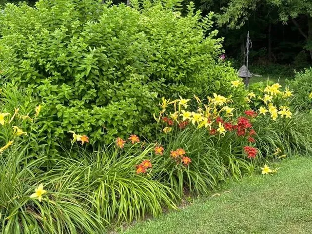 $399,500 | 17 Alderwood Court, Claremont, NH 03743