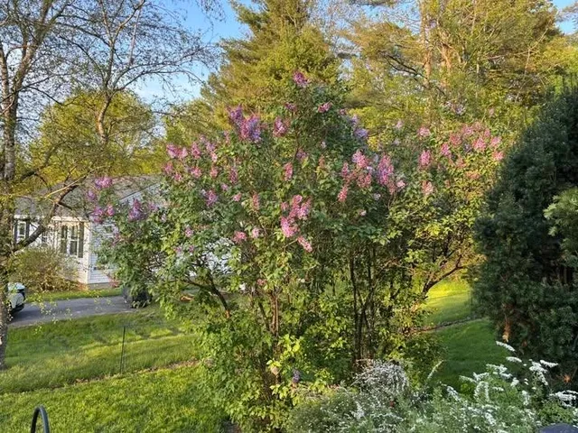 $399,500 | 17 Alderwood Court, Claremont, NH 03743