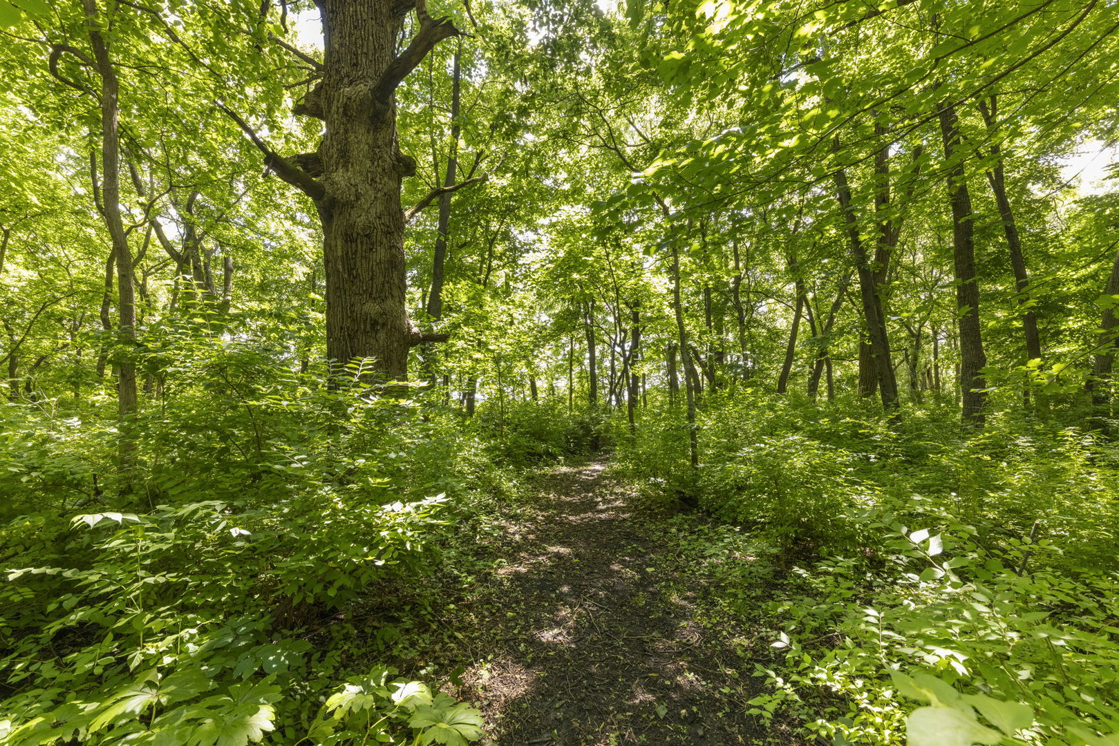 7479 Grove Road Oswego, IL 60543 - Photo 43 of 71