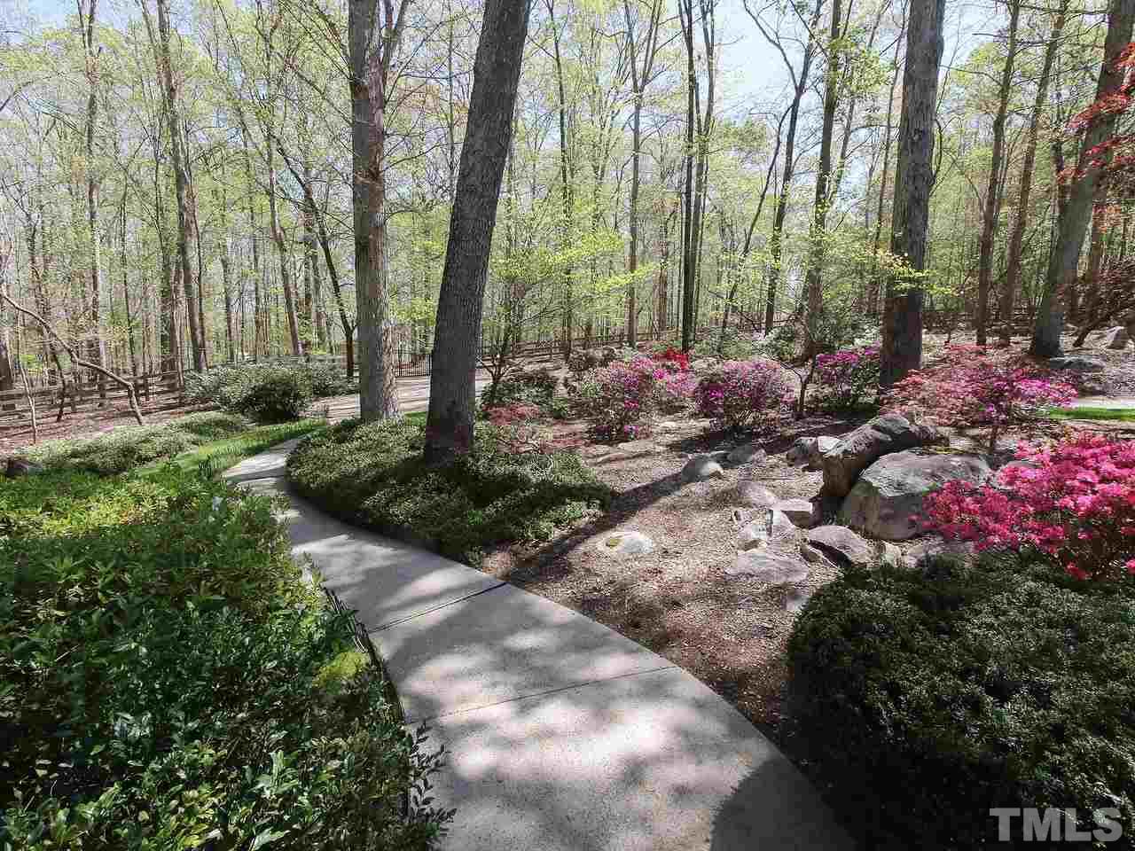 616 Booth Road Chapel Hill, NC 27516 - Photo 4 of 26 a view of backyard with green space