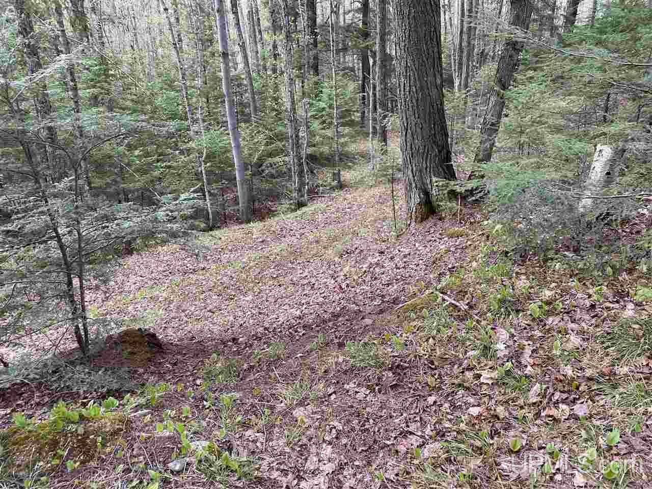 On On Chaney Cove Road, Unit LOT 1 Bessemer, MI 49911 - Photo 11 of 28
