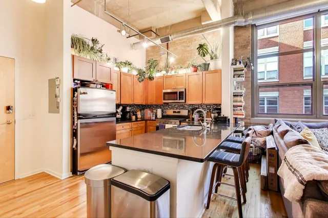 $449,000 | 1735 North Paulina Street, Unit 419, Chicago, IL 60622