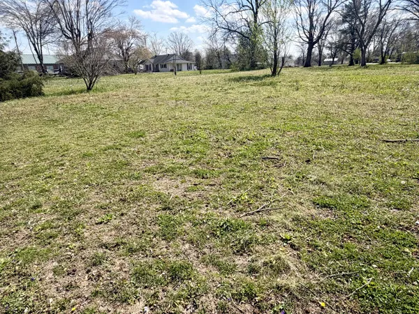 a view of a yard with trees