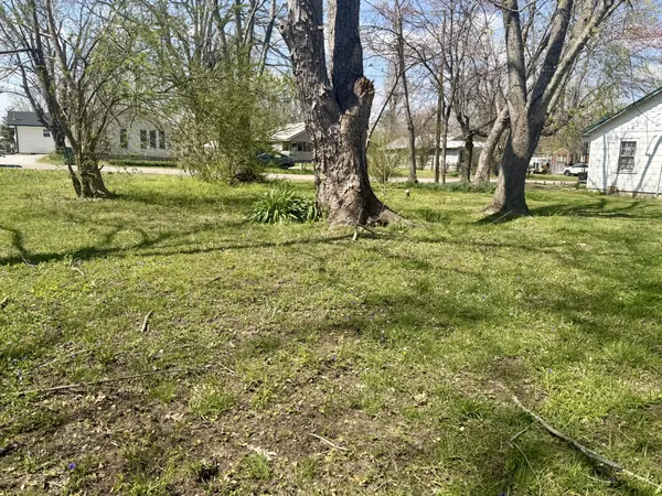 a view of yard with trees