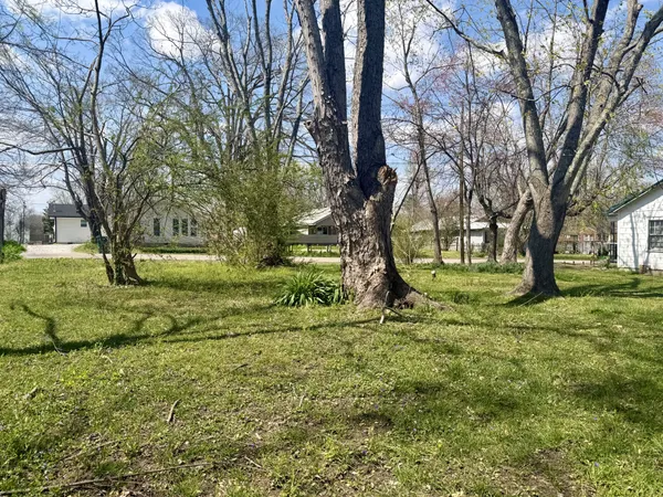 a view of yard with tree